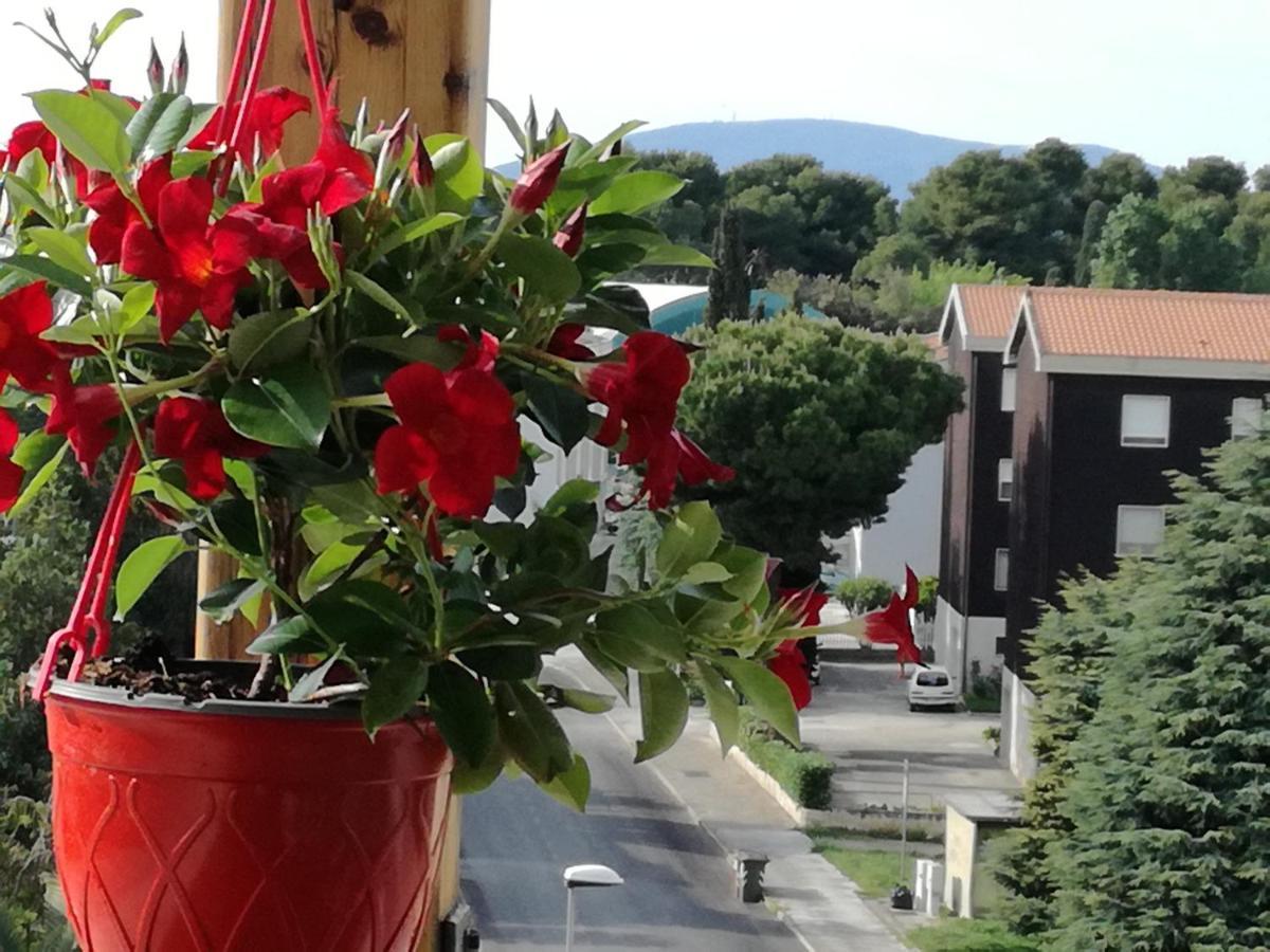Nel Blu Dipinto Di Blu Leilighet Porto Recanati Eksteriør bilde